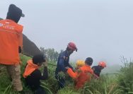 Tim SAR gabungan menemukan sejumlah barang yang diduga milik korban serta bagian pesawat di kawasan Gunung Bulusaraung.