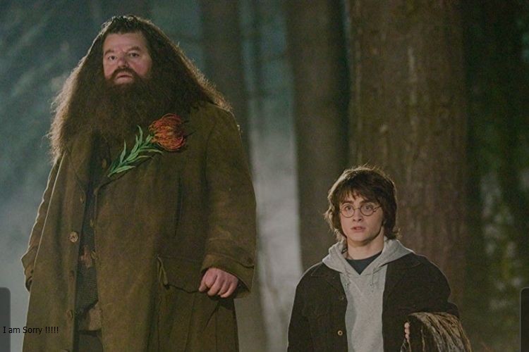 Mengenang Robbie Coltrane, Hagrid Di Film Harry Potter - JafarBua